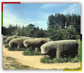 Toros de Guisaldo